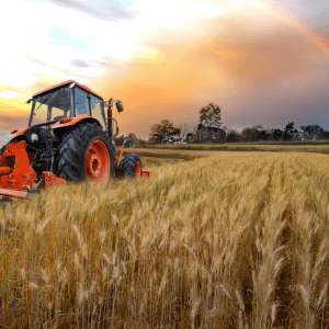 Traditional farming